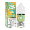Aloe Mango - Cloud Nurdz Salts - 30mL
